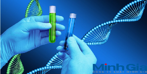 Xét nghiệm ADN ở đâu, khi nào cần xét nghiệm ADN?